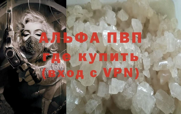 прущие грибы Красноперекопск