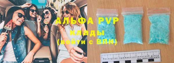 прущие грибы Красноперекопск