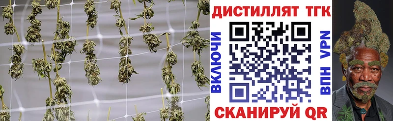 Дистиллят ТГК Wax  Купить  Шали 