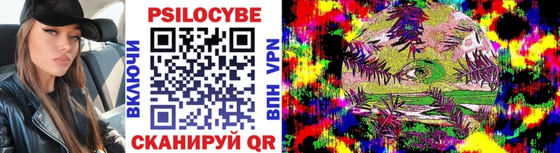 Купить закладки  Шали  Псилоцибиновые грибы мицелий 